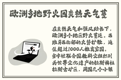 日本人AA制是不是很凉薄